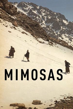 Mimosas's poster