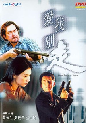 When a Man Loves a Woman's poster