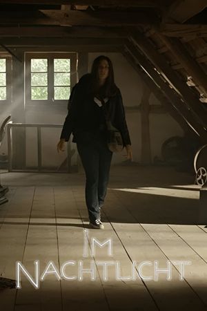 In the Light of the Night's poster
