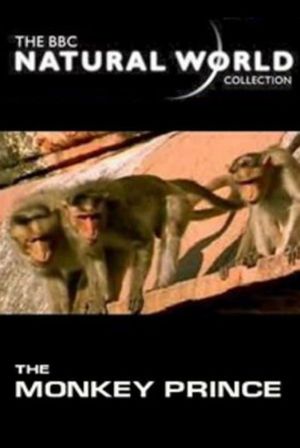 The Monkey Prince's poster