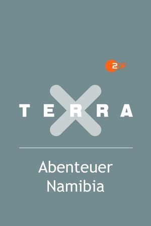 Abenteuer Namibia's poster