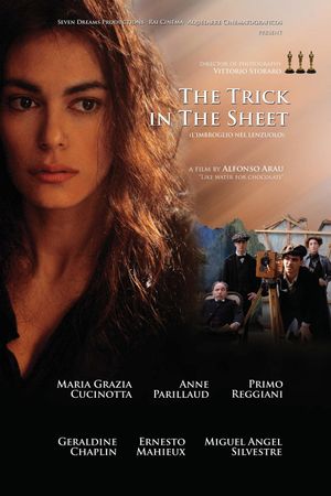 L'imbroglio nel lenzuolo's poster