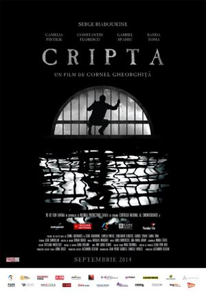 Domnul de la curte's poster