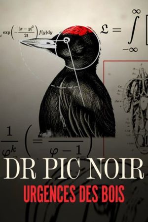 Dr Pic Noir, urgence des bois's poster