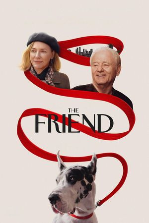 The Friend's poster
