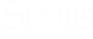 Strays's poster