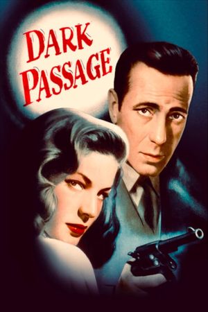 Dark Passage's poster