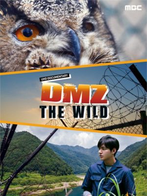 DMZ, The Wild's poster