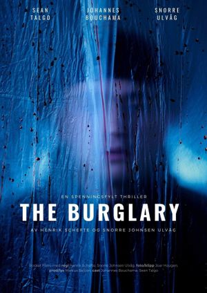 The Burglary's poster image