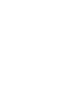 Ash Is Purest White's poster