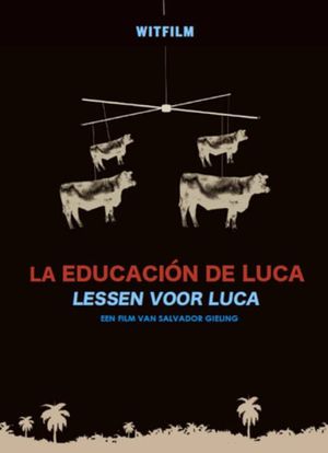 Lessons for Luca's poster