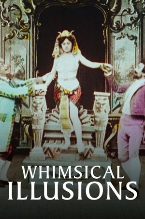 Whimsical Illusions's poster
