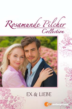 Rosamunde Pilcher: Ex und Liebe's poster