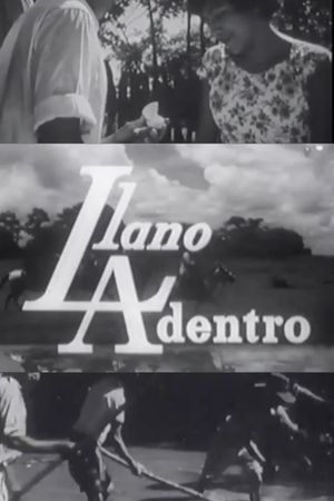 Llano adentro's poster