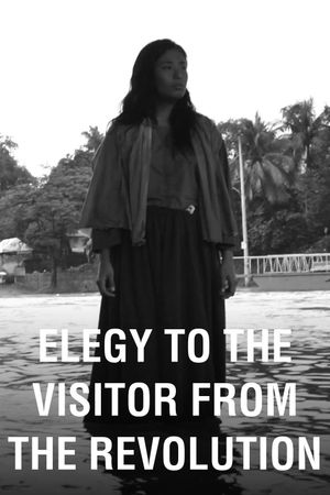 Elegy to the Visitor from the Revolution's poster