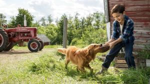 A Dog's Purpose's poster