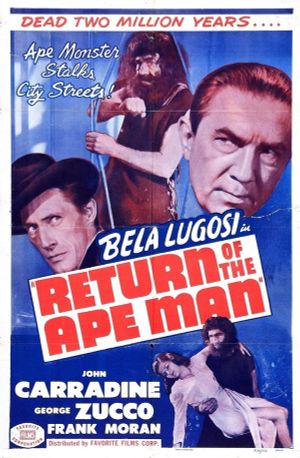 Return of the Ape Man's poster image