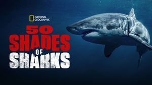 50 Shades of Sharks's poster