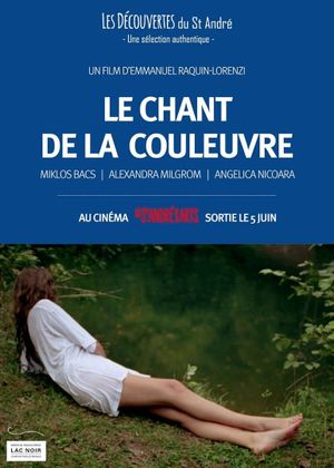 Le chant de la couleuvre's poster