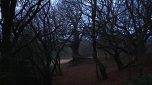 Sideworld: Haunted Forests of England's poster