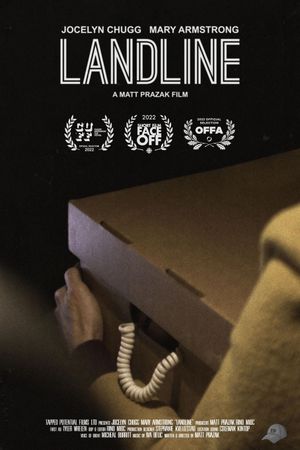 Landline's poster