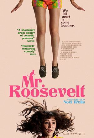 Mr. Roosevelt's poster