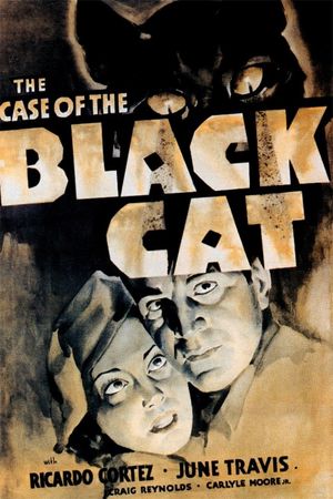 The Case of the Black Cat's poster