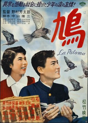 The Pigeon's poster