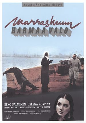 The Grey Light of November's poster