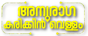 Anuraga Karikkin Vellam's poster