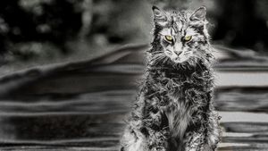 Pet Sematary's poster