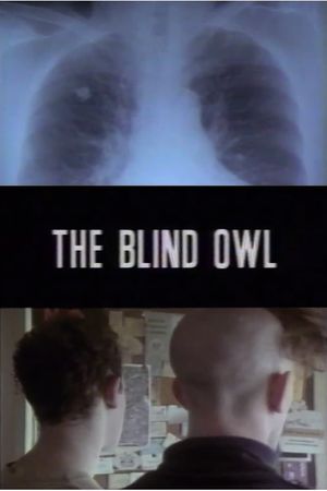 The Blind Owl's poster