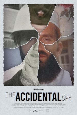 The Accidental Spy's poster