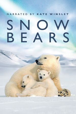 Snow Bears's poster