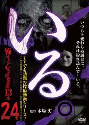 「Iru.」~ Kowasugiru Tōkō Eizō 13-hon ~ Vol.24's poster