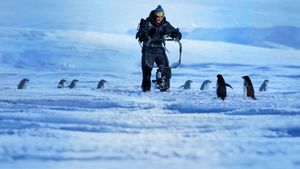 Penguins: Life on the Edge's poster