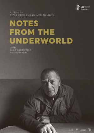 Notes from the Underworld's poster