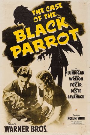 The Case of the Black Parrot's poster