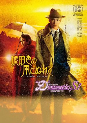 In the Amber-Hued Rain's poster image