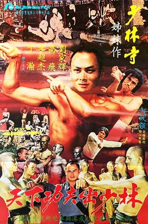 Shao Lin zhen ying xiong's poster