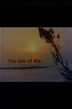 The Law of Life's poster