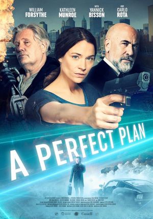 A Perfect Plan's poster