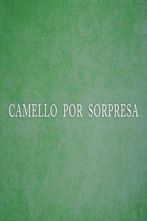 Camello por sorpresa's poster