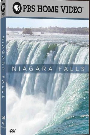 Niagara Falls's poster