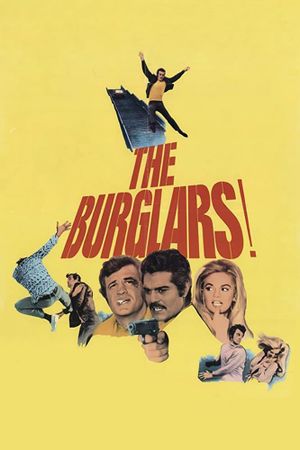 The Burglars's poster