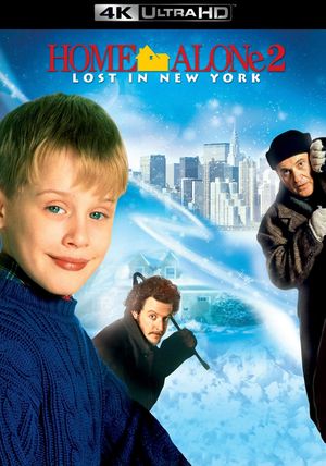 Home Alone 2: Lost in New York's poster