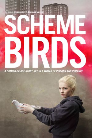 Scheme Birds's poster