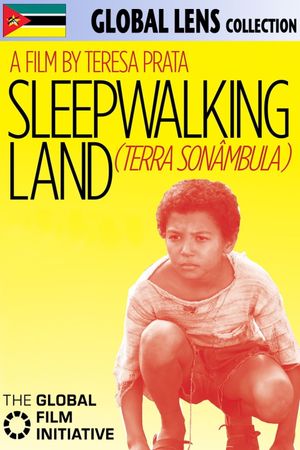 Sleepwalking Land's poster