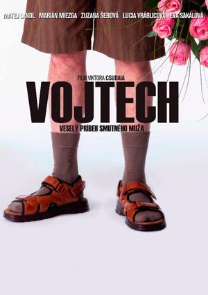 Vojtech's poster