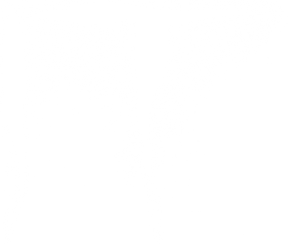 It's poster